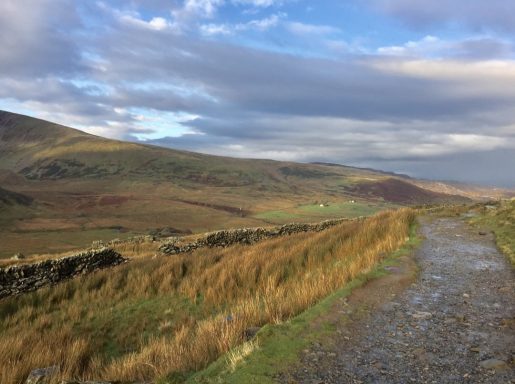 Images of landscape, trees and two pairs of wellies.